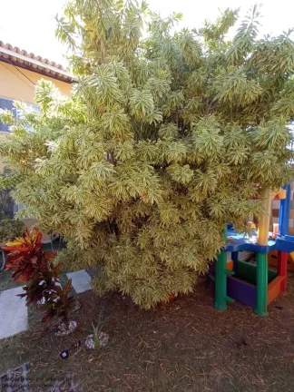 Imagem Casa de luxo em condomínio à venda em Pitangueiras, Lauro de Freitas-BA: 5 quartos, 3 suítes, 3 salas, 1 banheiro, 2 vagas, 160m²!