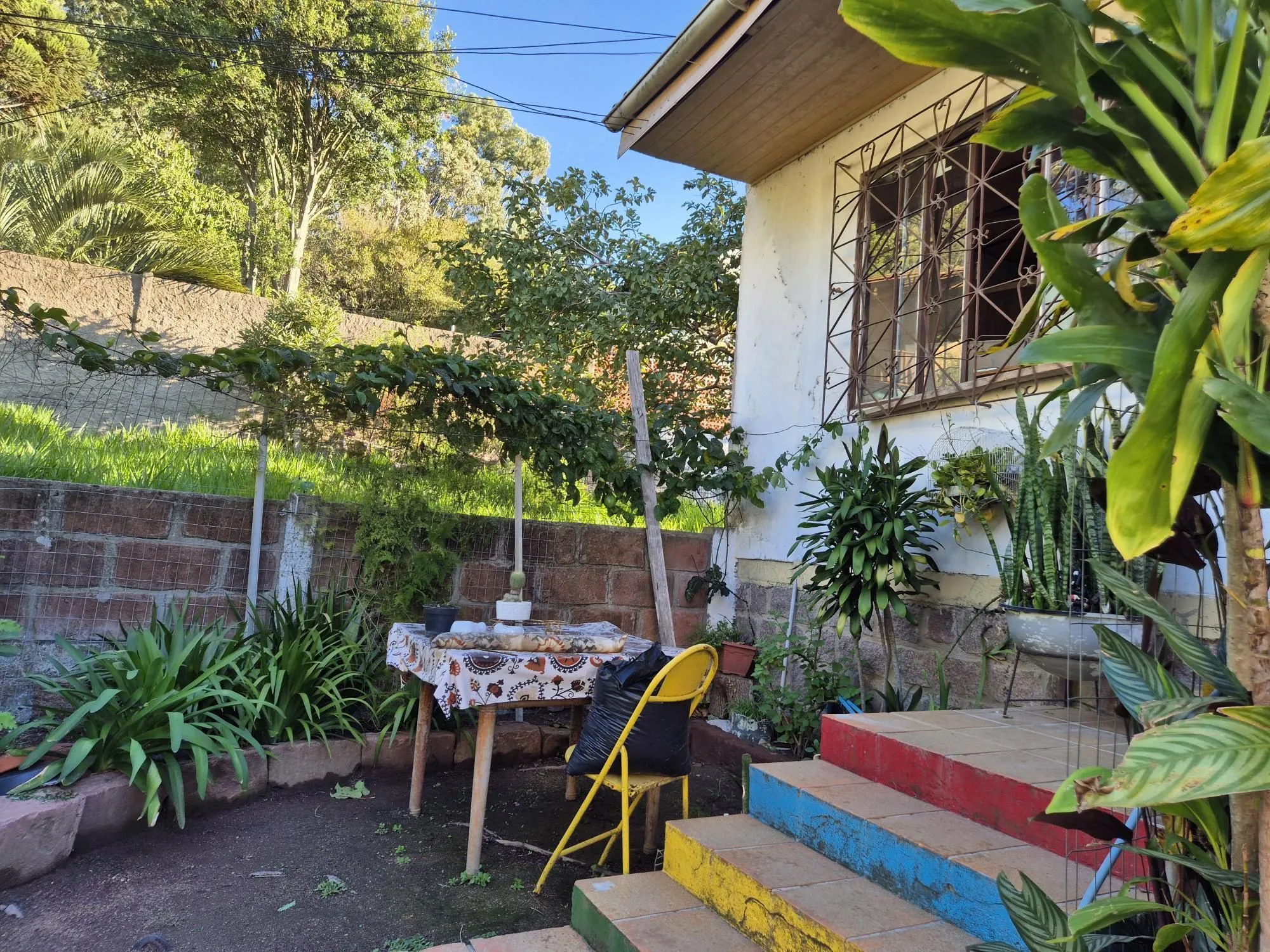 Imagem Casa com amplo jardim
