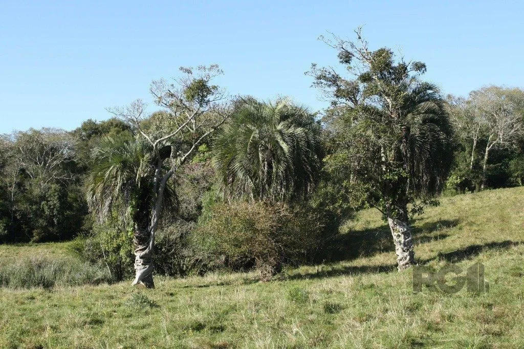 Imagem Terreno em Padre Elly
