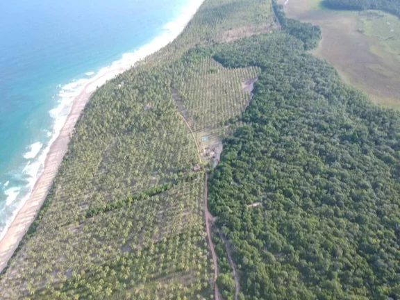Imagem Paraíso Aibim