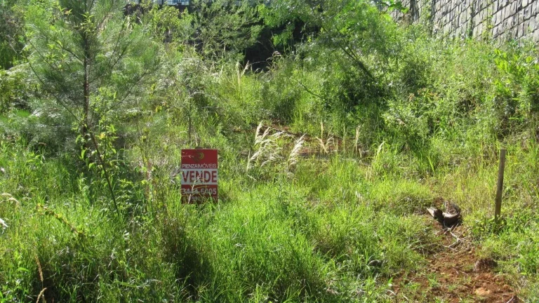 Foto do imóvel Terreno para Venda em Concórdia, Jardim em Loteamento D Italia