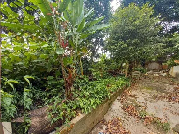 Imagem Terreno com 660m² de área, à 200m Av Francisco Morato
