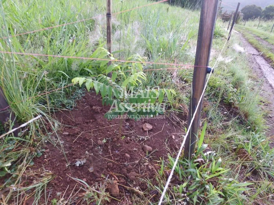 Imagem Sítio para Venda em Três Coroas / RS no bairro Canastra Baixa