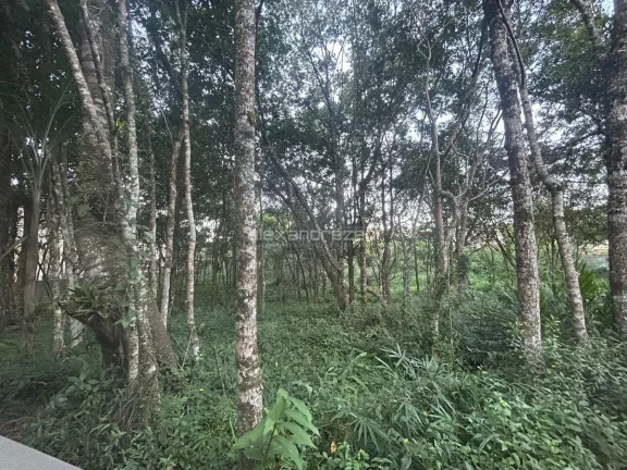 Imagem Area de 4mil m2 - Em Bombinhas
