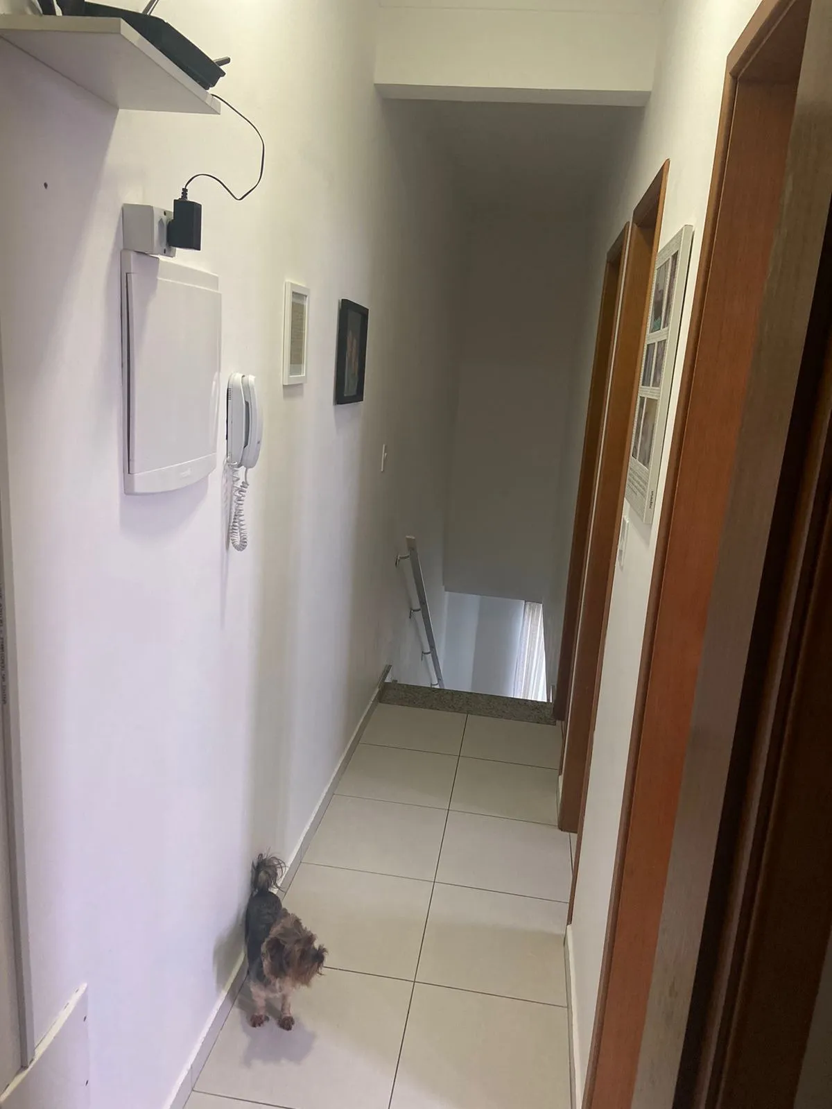 Imagem Residência Exclusiva no Marapé: Espaço, Elegância e Conforto em Cada Canto