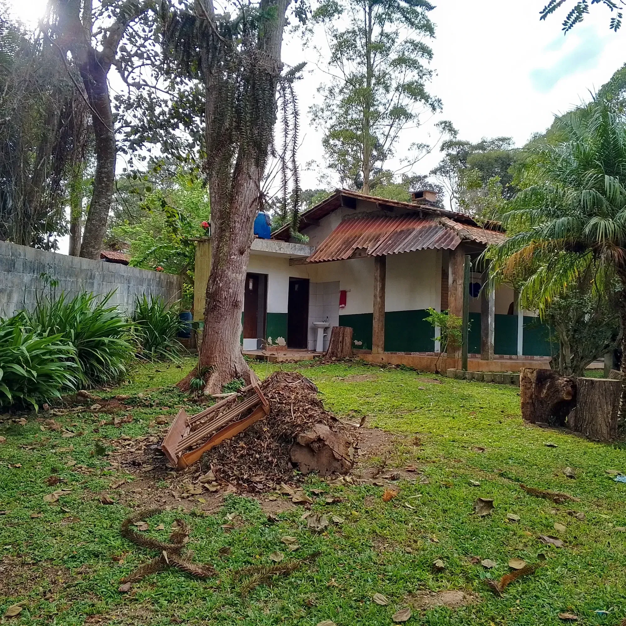 Imagem Chácara com 3 Quartos à Venda, 12.000 m² em Jardim das Cerejeiras - Cotia