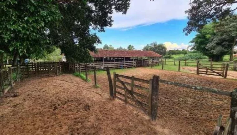 Imagem Fazenda a VENDA, 66 alqueires, Região Bauru