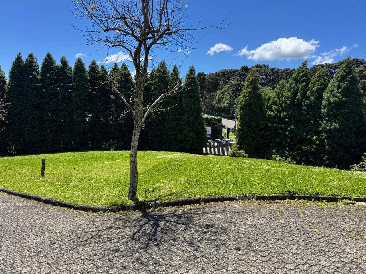 Imagem Terreno em Condomínio à venda em Gramado, Lagos do Bosque, 665.74m2