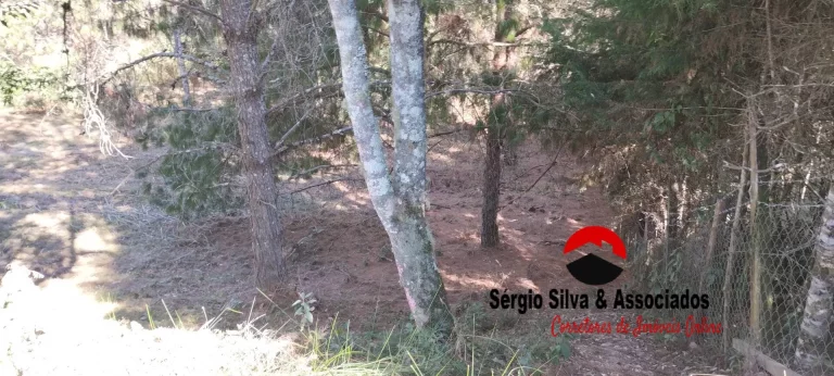Imagem Terreno a Venda na Região do Alto da Boa Vista Campos do Jordão -SP.