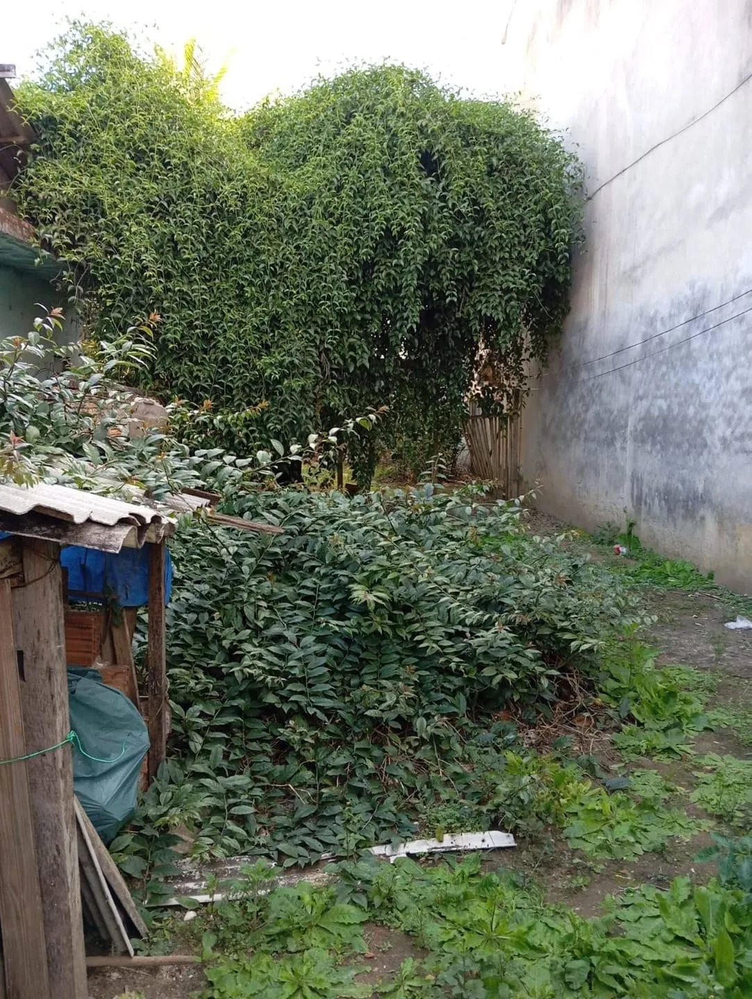 Foto do imóvel Terreno à venda, Frei Galvão, Potim, SP