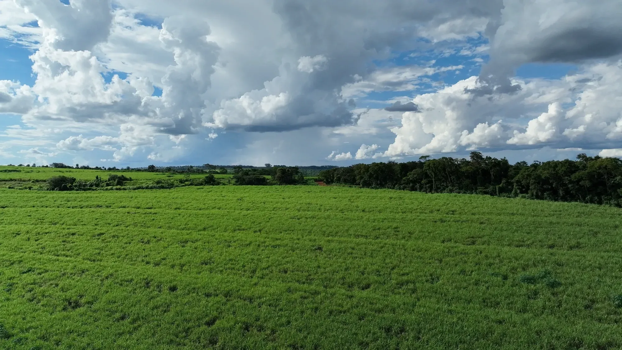Imagem Fazenda à Venda, 232 HA em Zona Rural - Franca