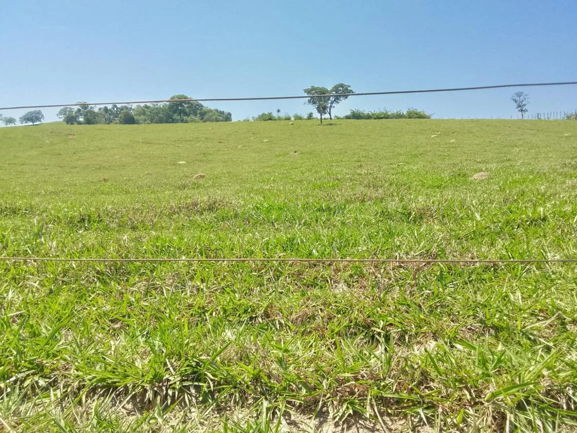 Imagem TERRENO À VENDA EM RIO MANSO/MG | 11,7 HECTARES