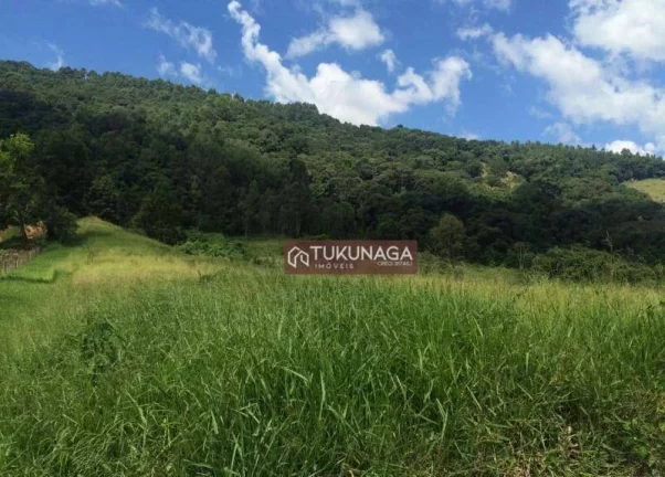 Imagem Sítio à venda, 82450 m² por R$ 1.100.000,00 - Pitangueiras - Pedra Bela/SP