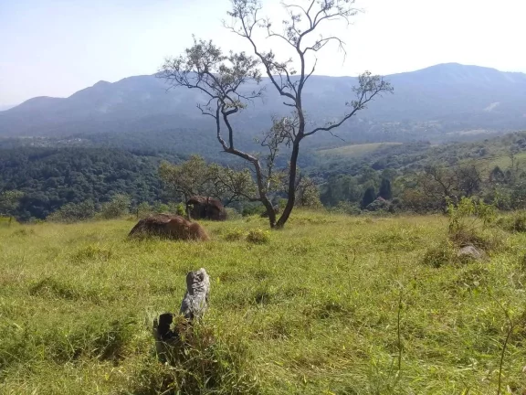 Imagem Área 303.000m2 em Santana de Parnaiba