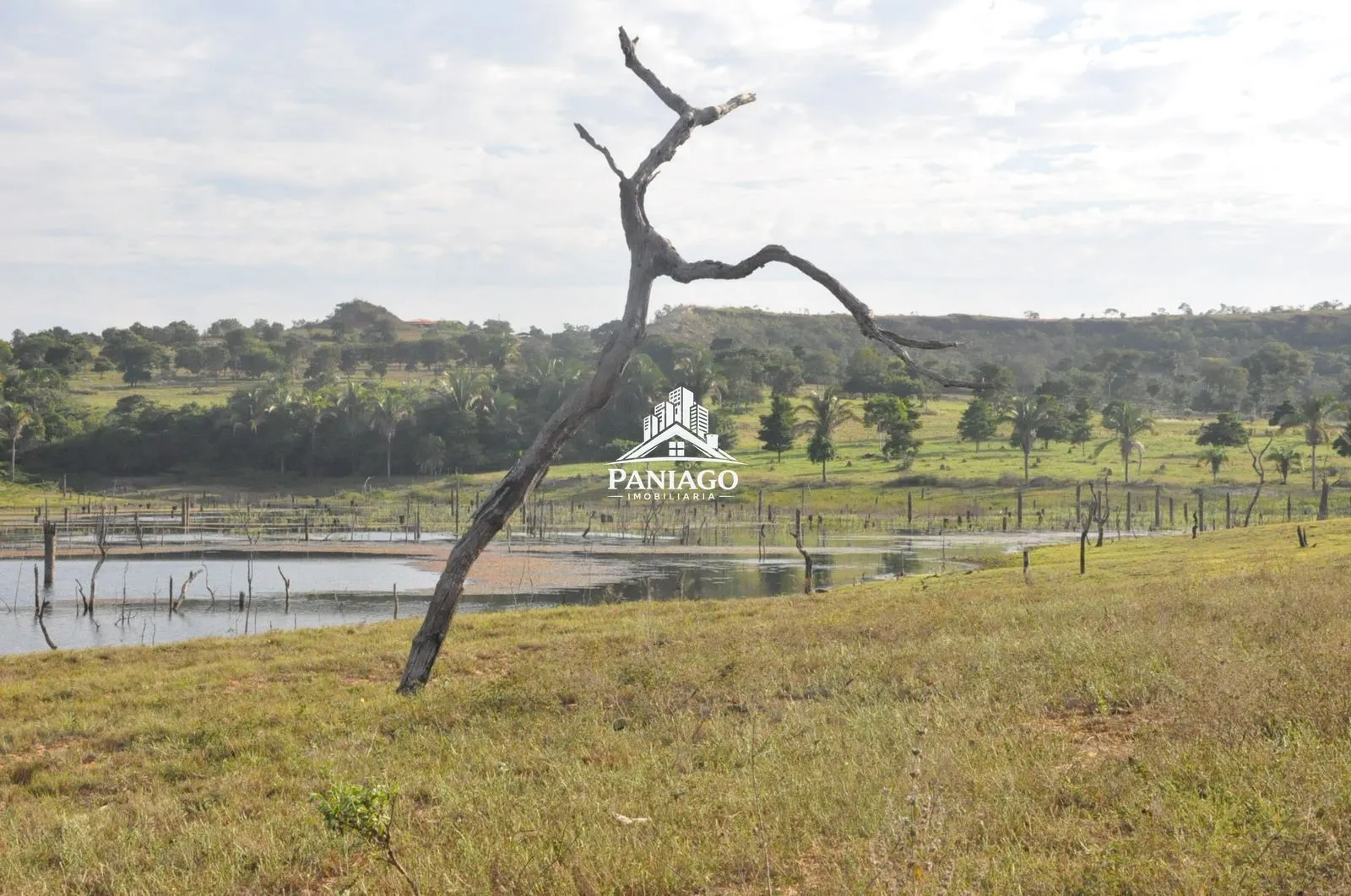 Imagem Chácara de 18 Hectares com Beira de Lago à Venda OPORTUNIDADE