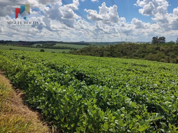 Imagem Sítio a venda região São Miguel Arcanjo SP