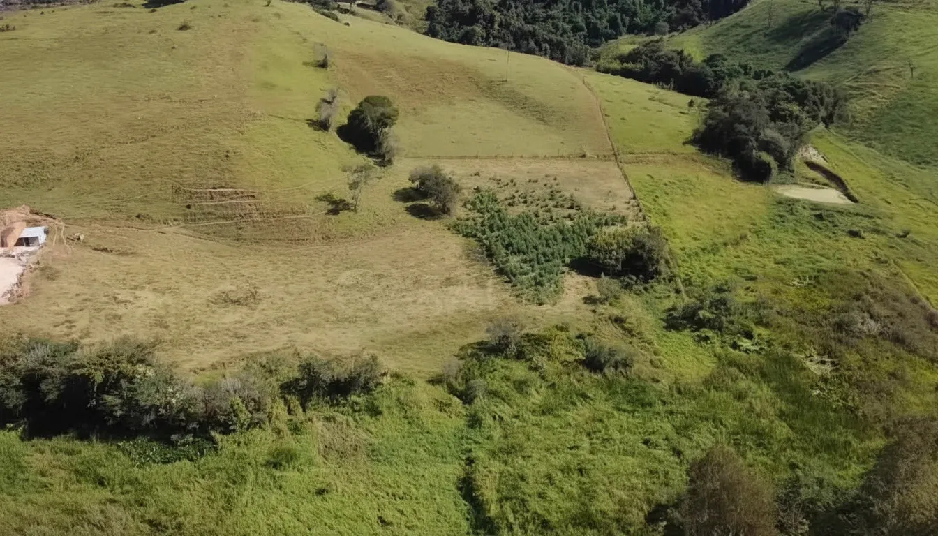 Imagem Sítio 5,4 ha à venda em Sertãozinho, Botelhos