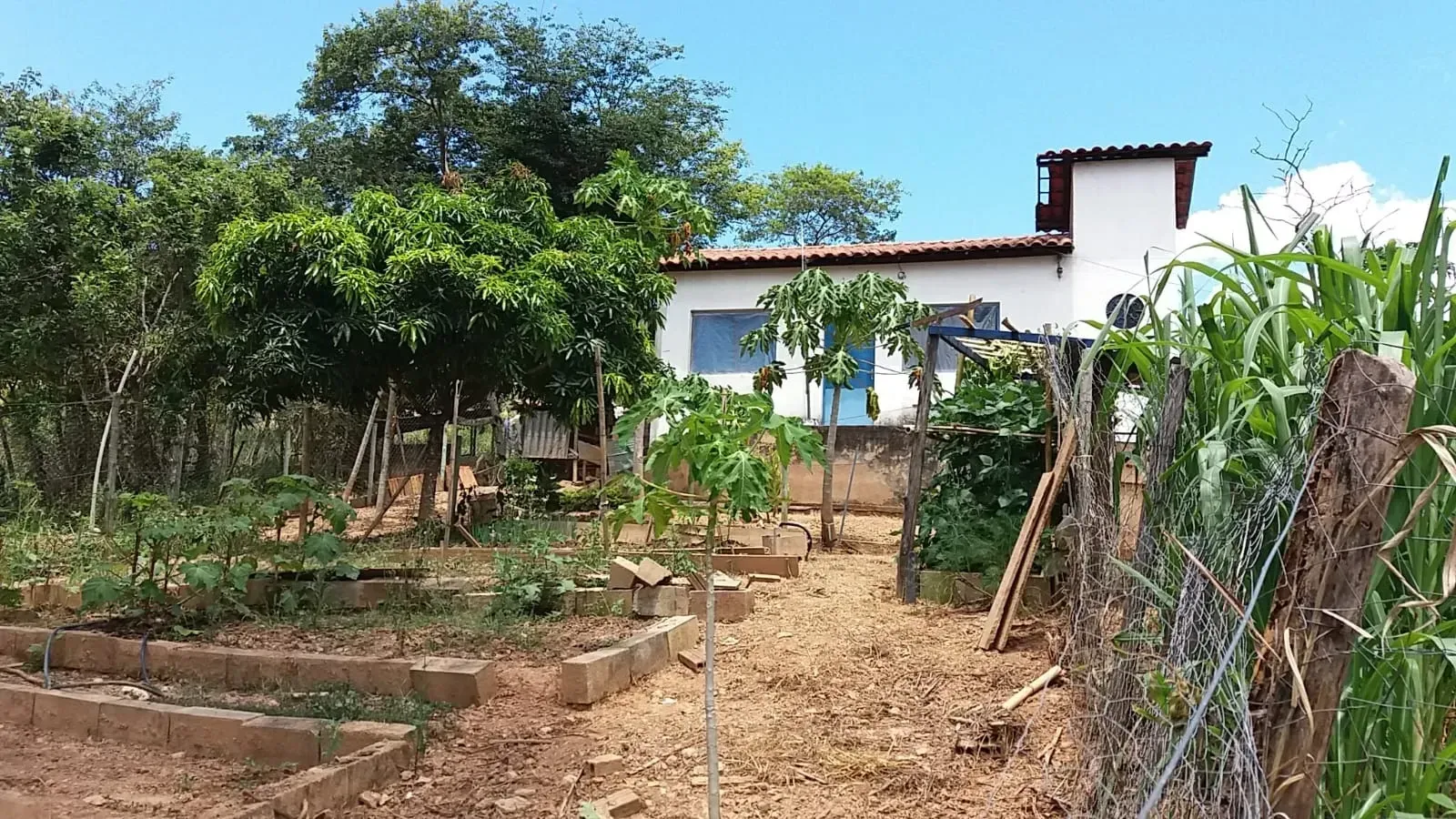 Imagem Sítio à Venda, 50.000 m² em Centro - Jaboticatubas