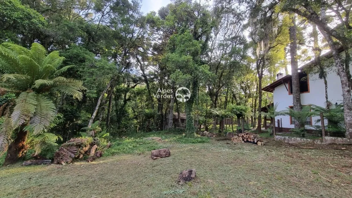 Imagem VENDE-SE TERRENO EM CANELA COM 1.584 M²