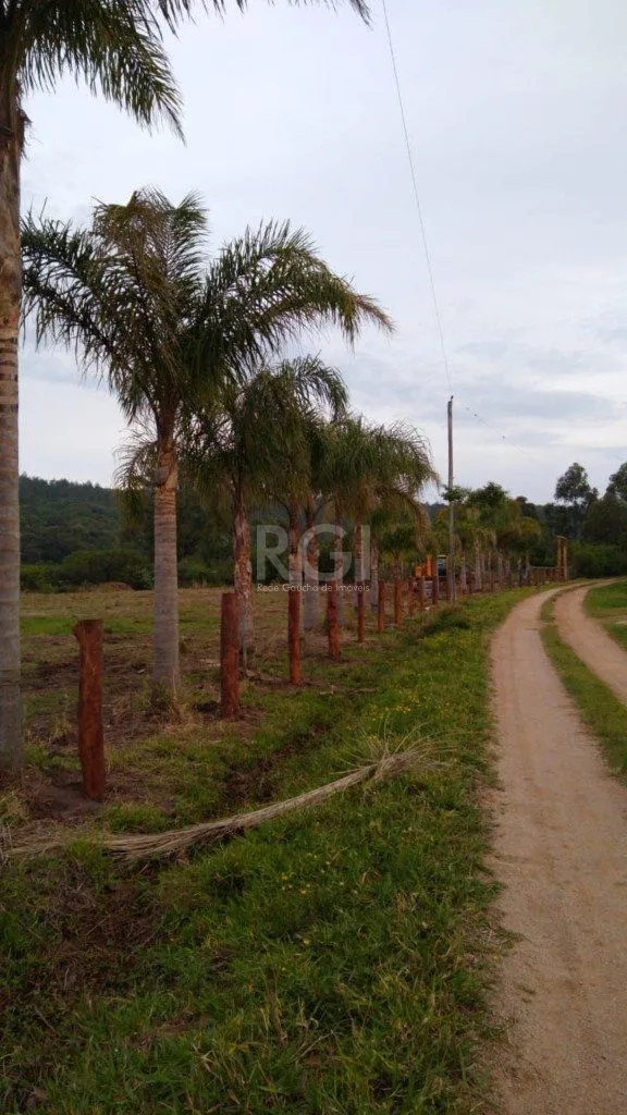 Imagem Area para Venda - 7787.1m², 0 dormitórios, Centro