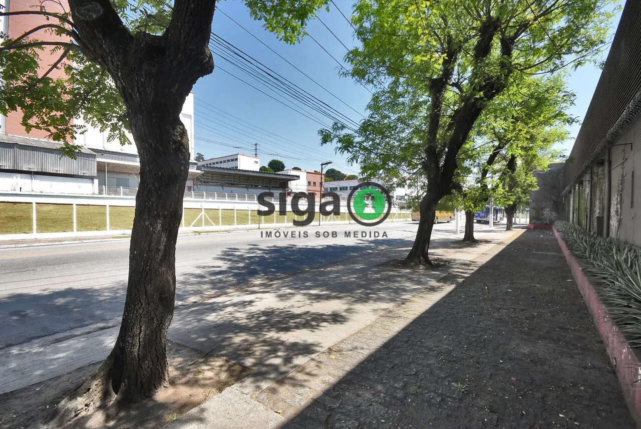Imagem PREDIO PARA LOCAÇÃO