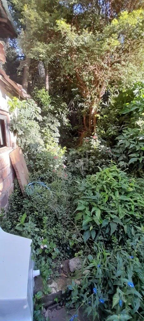 Imagem Terreno em Teresópolis