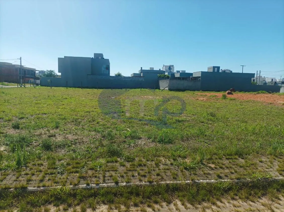 Imagem Onde a Cidade Encontra a Natureza: Morada das Palmeiras em Torres