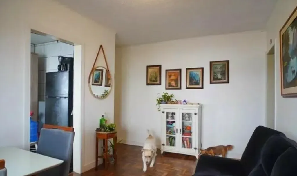 Imagem Apartamento em Rubem Berta