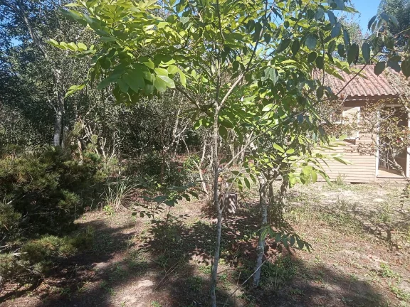 Imagem Sitio com 2.056m², em condomínio fechado, arborizado, Águas Clara, Viamão