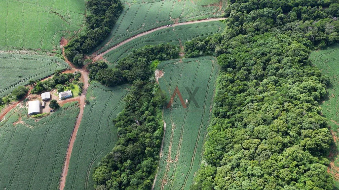 Imagem Àrea de plantio a venda em PITANGA - PR, 12ha sendo 10ha de plantio.
