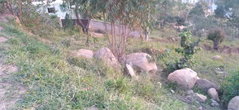 Imagem Terreno de 1.820 m² esquina Mairiporã!!