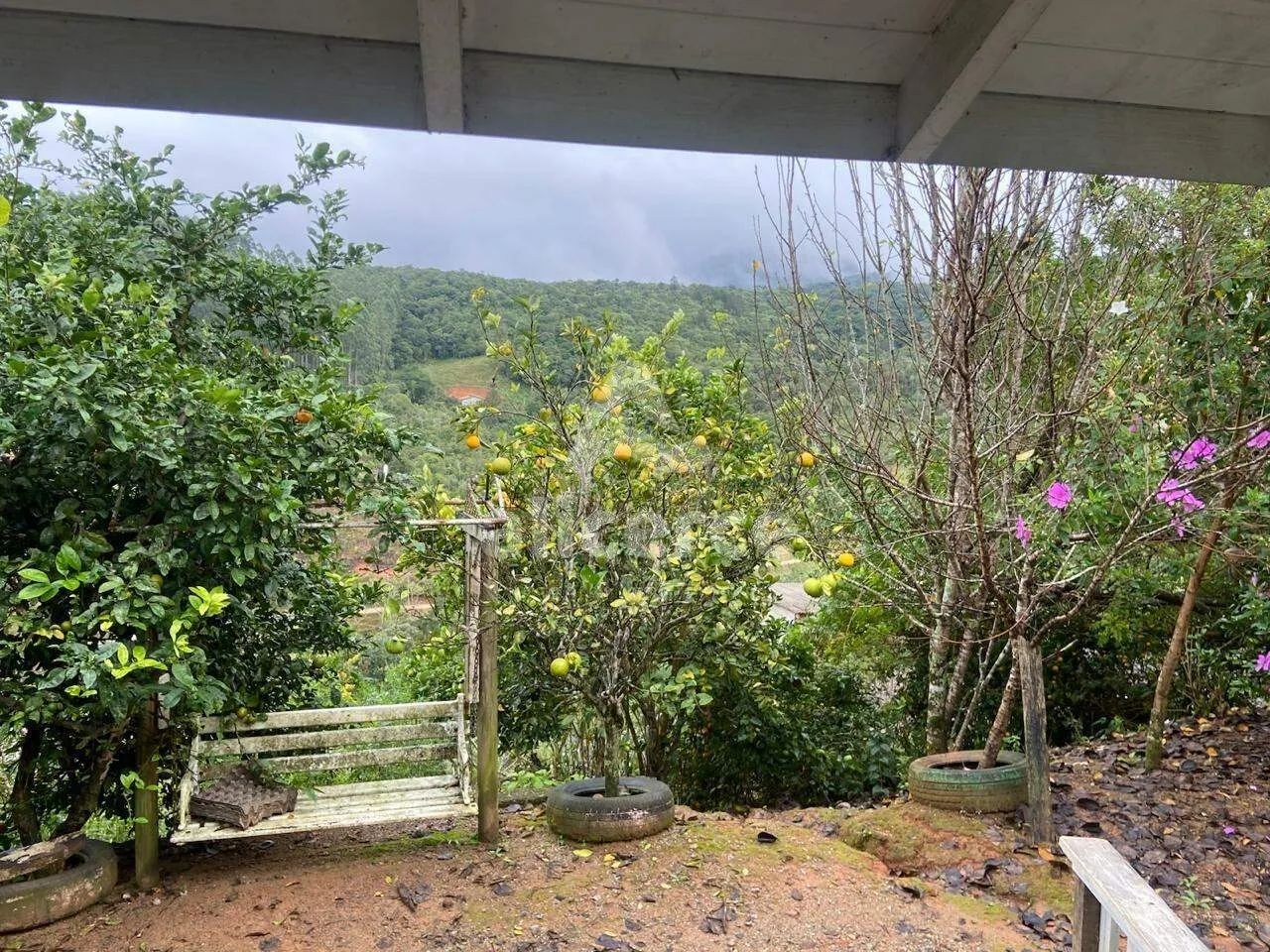 Imagem Sítio à Venda no Pagará - Santo Amaro da Imperatriz/SC