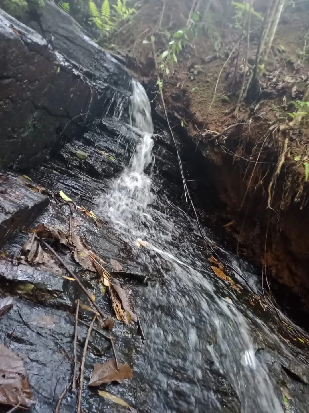 Imagem Sítio com 9 Alqueires em Ribeirão Grande com Abundância de Água