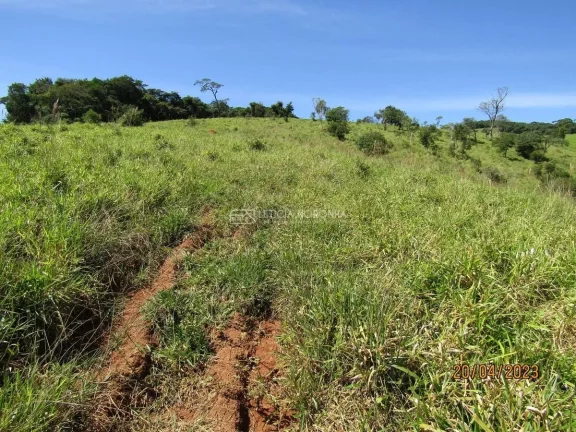 Imagem Chácara a venda
