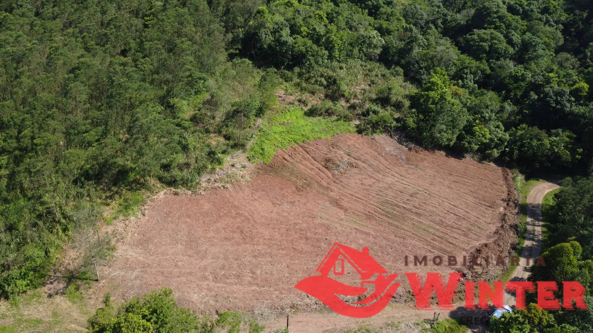 Imagem Área de terras com 10 hectares em Linha Nova