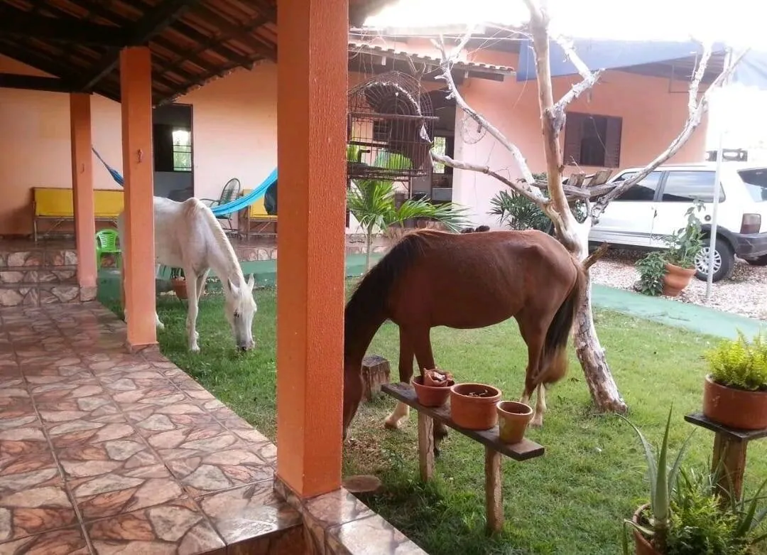 Imagem RODOVIA CUIABÁ/CHAPADA DOS GUIMARÃES