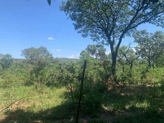 ÁREA DE 2 HECTARES , EM JUATUBA! IDEAL PARA CONSTRUTORES.