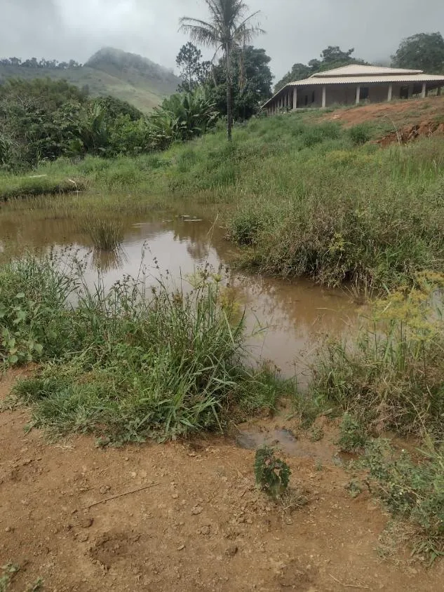 Imagem Terreno à Venda em São Domingos do Prata/MG com 25,5 hectares de terra