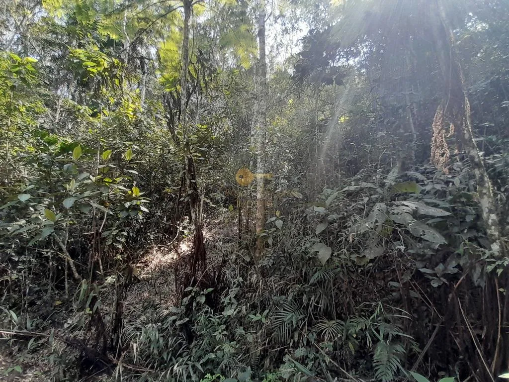 Imagem Terreno para Venda em Teresópolis / RJ no bairro Vargem Grande