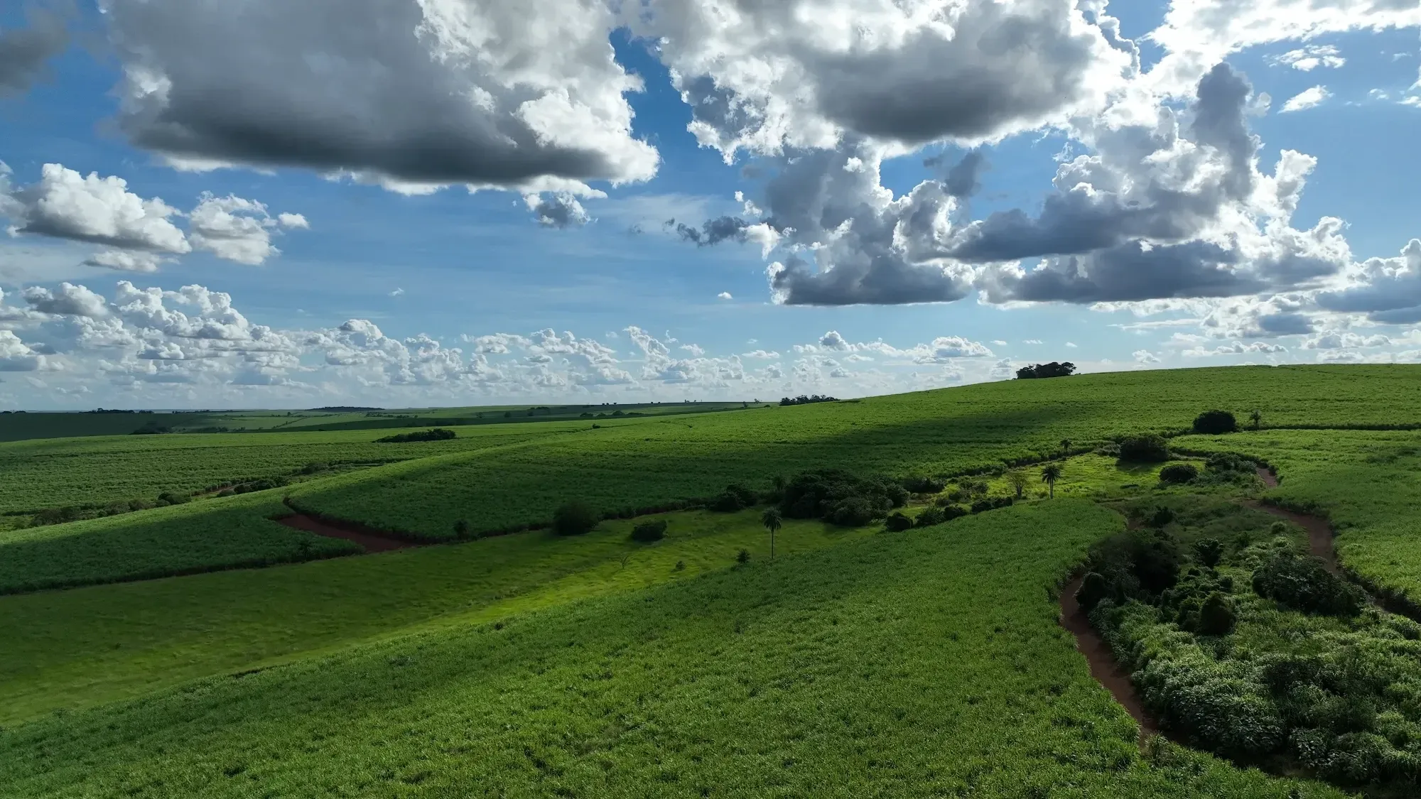 Imagem Fazenda à Venda, 232 HA em Zona Rural - Franca
