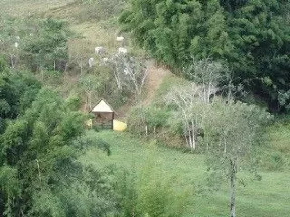 Imagem Fazenda à venda, 1331000 m² por R$ 14.850.000,00 - Piquete - Piquete/SP