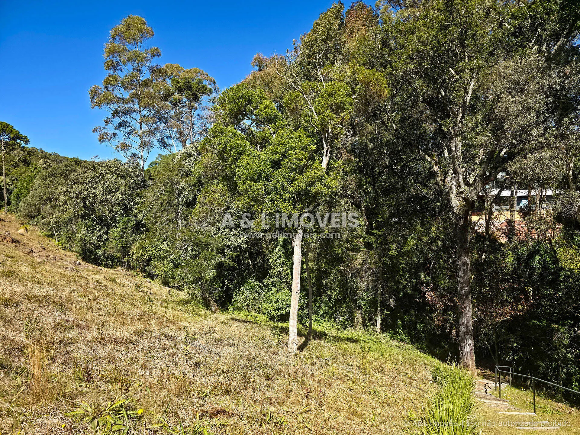 Imagem Lote à venda no Reserva Figueiredo | Campos do Jordão