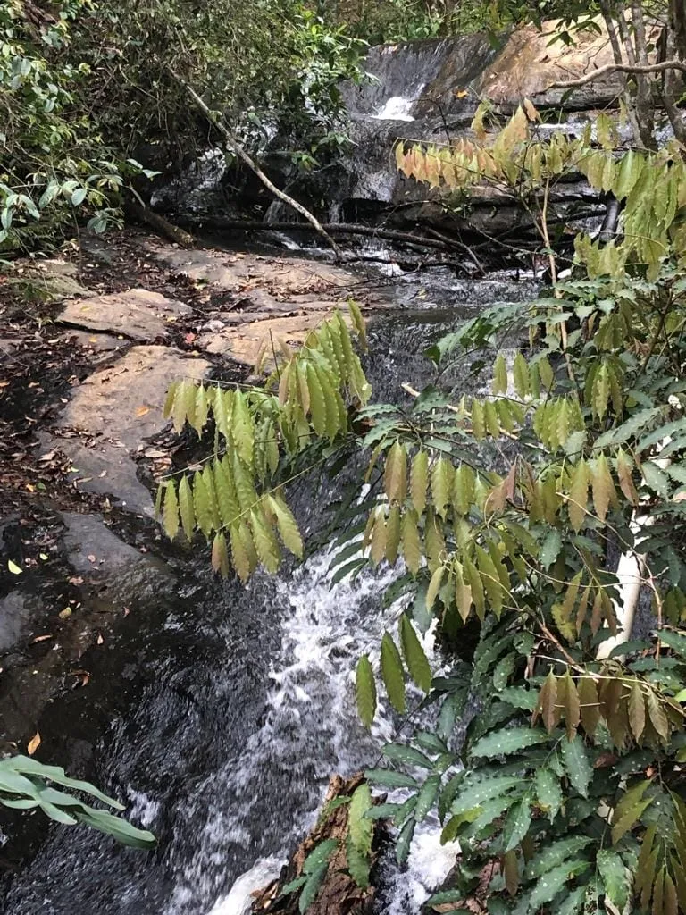 Imagem Chácara à venda 1 Quarto, 57596M², Pinga, Pindamonhangaba - SP
