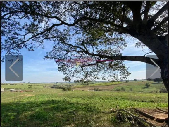 Imagem Sítio com 43,600 metros de terreno COM EXELENTE TOPOGRAFIA em cerquilho
