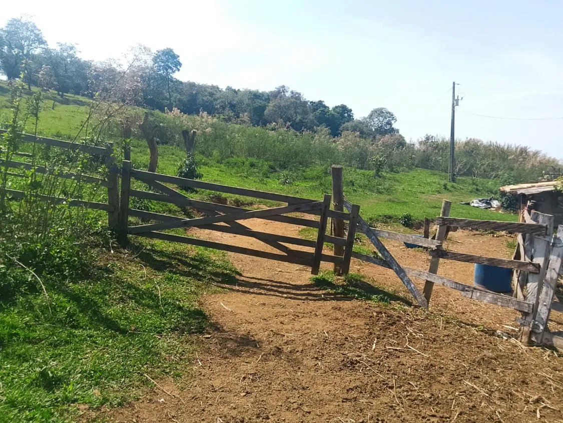 Imagem TERRENO COMPLETO COM 8 ALQUEIRES ? PRÓXIMO A RIO MANSO