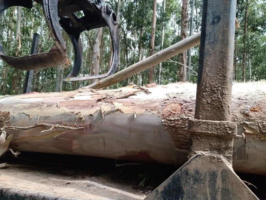 Imagem Fazenda em Zona Rural