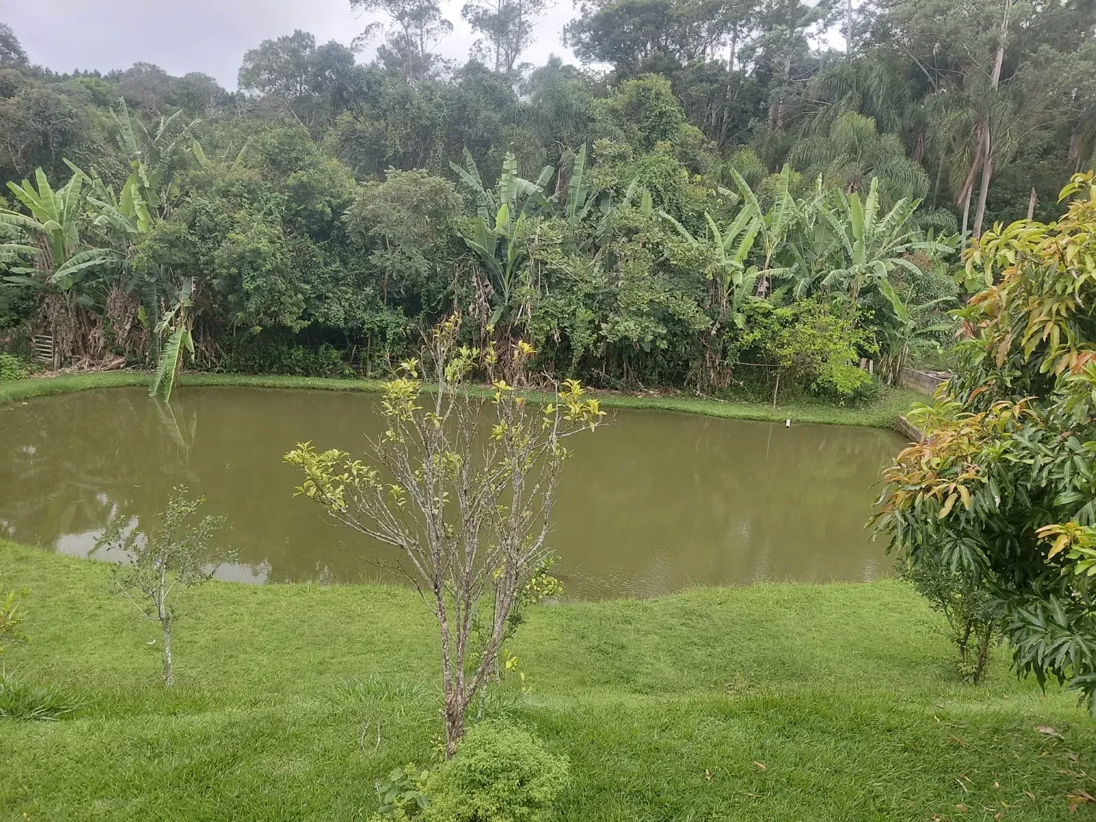 Imagem Chácara com 3 Quartos à Venda, 1700 metros em remanso I - Vargem Grande Paulista