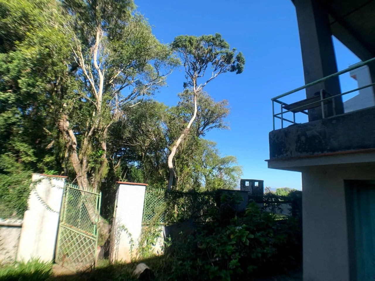 Imagem Terreno para Venda - 1.100m² Com Vista Para o Guaíba