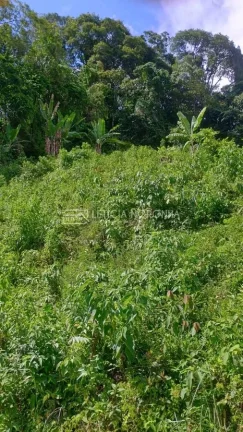 Imagem Terreno à Venda