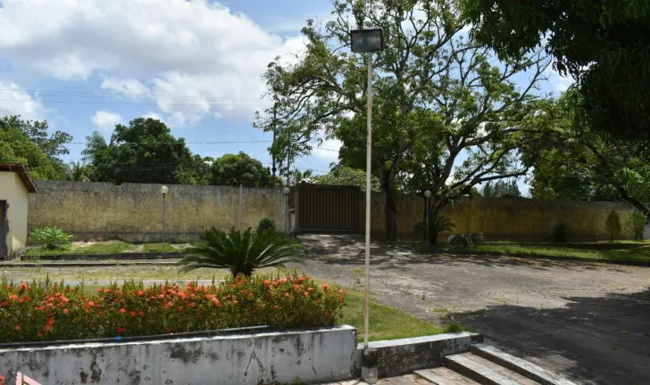Imagem Fazenda à Venda ou Locação, 300 m² em Vila Esperança - São Luís